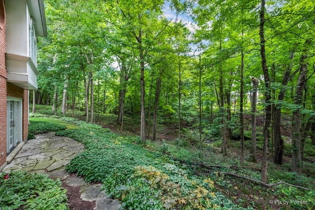 view of yard with a patio area