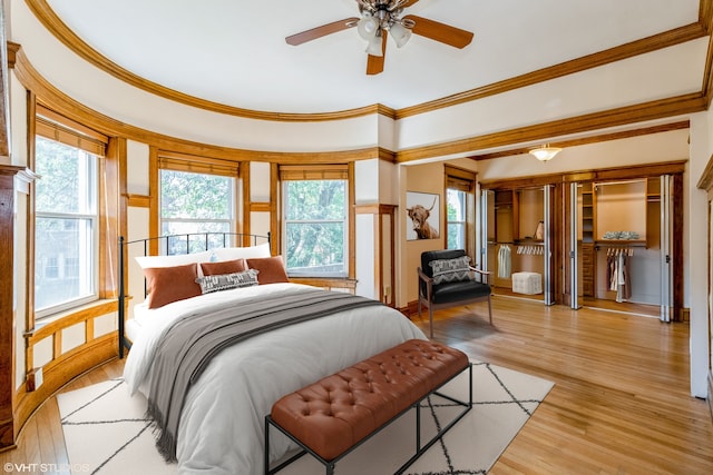 bedroom with a closet, light hardwood / wood-style floors, ceiling fan, and crown molding