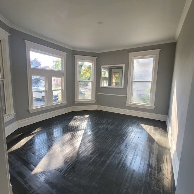 spare room featuring ornamental molding and dark hardwood / wood-style flooring