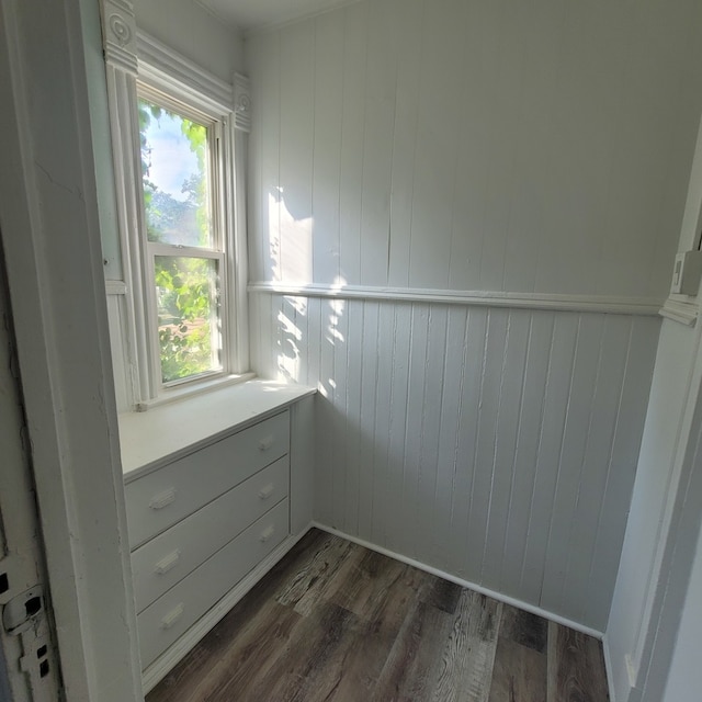 spacious closet featuring dark hardwood / wood-style floors