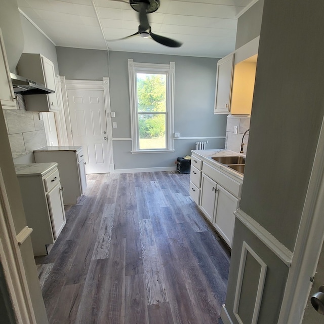 kitchen featuring white cabinets, ceiling fan, sink, and dark hardwood / wood-style flooring