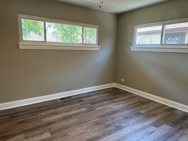 empty room featuring a healthy amount of sunlight and dark hardwood / wood-style flooring