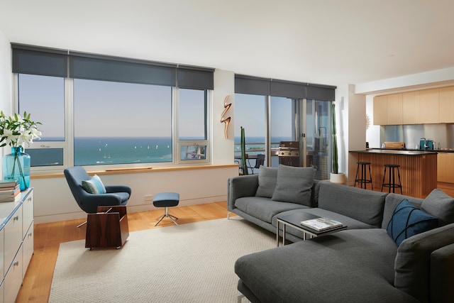 living room featuring a water view and light hardwood / wood-style flooring