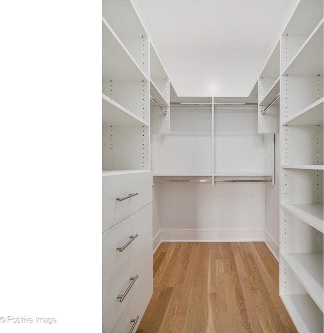 walk in closet with light hardwood / wood-style flooring