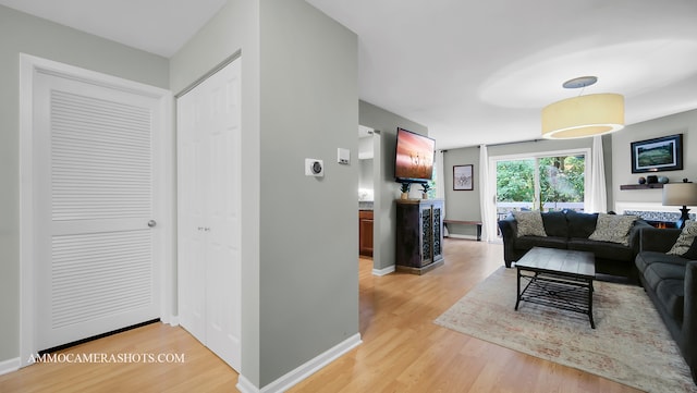 living room featuring light hardwood / wood-style floors