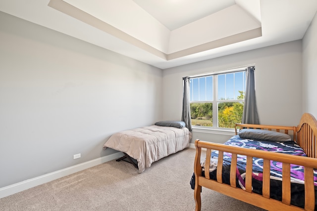 bedroom with carpet floors and a raised ceiling