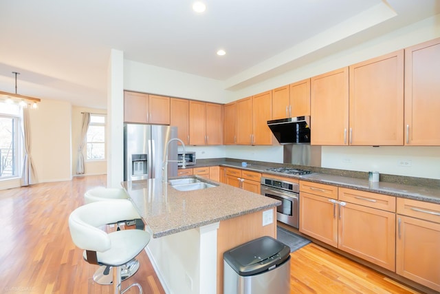 kitchen with light hardwood / wood-style floors, a kitchen bar, stainless steel appliances, and an island with sink