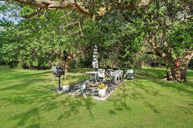 view of yard with a patio