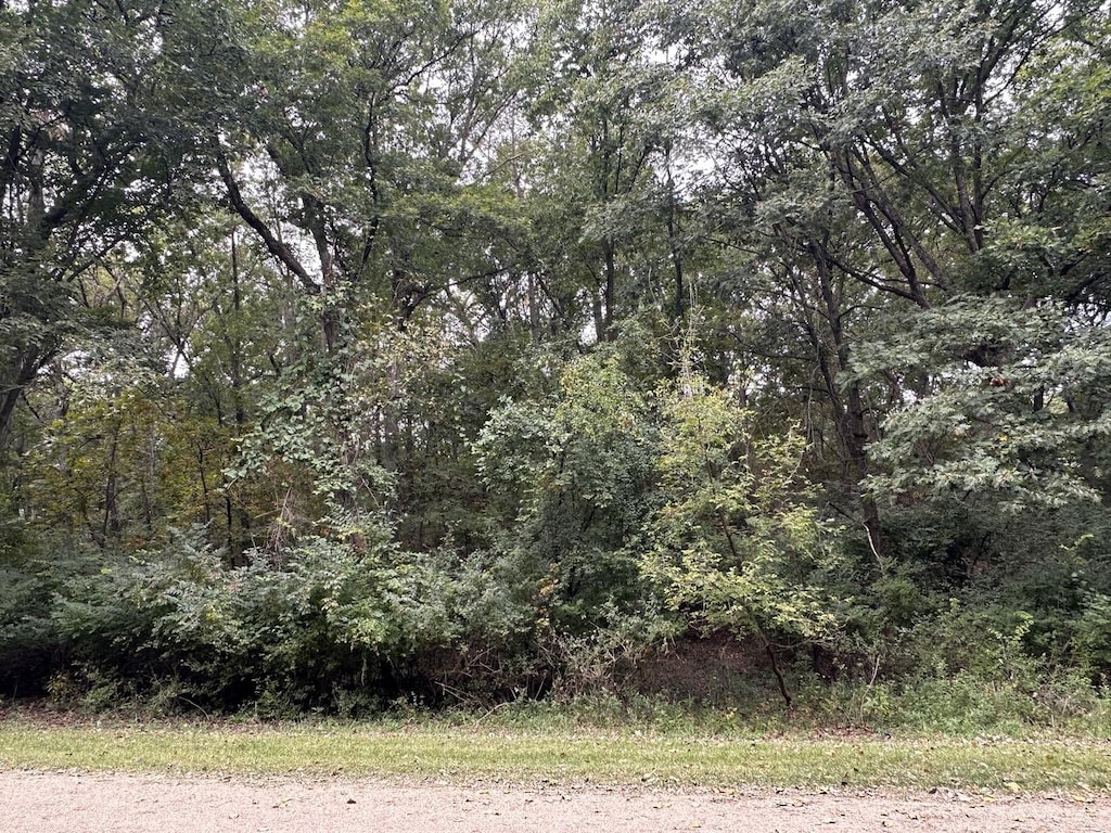 619 Mississippi Dr, Dixon, IL 61021 - photo 2