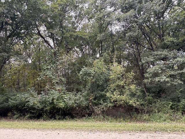 619 Mississippi Dr, Dixon, IL 61021 - photo 2