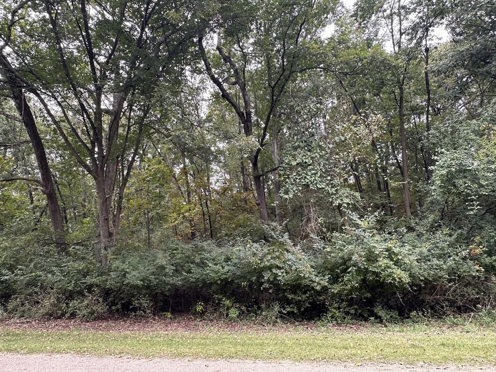 619 Mississippi Dr, Dixon, IL 61021 - photo 3