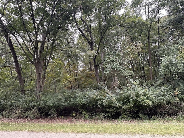 619 Mississippi Dr, Dixon, IL 61021 - photo 3