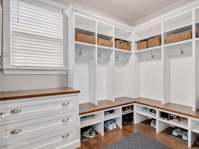 mudroom with hardwood / wood-style floors