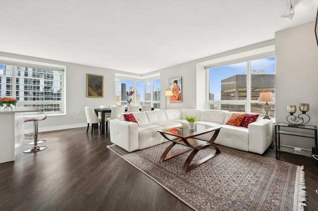 living room with dark hardwood / wood-style flooring and a healthy amount of sunlight