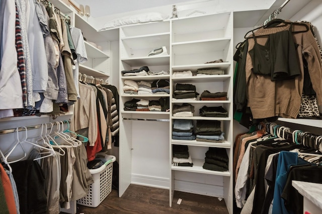 spacious closet with dark hardwood / wood-style floors