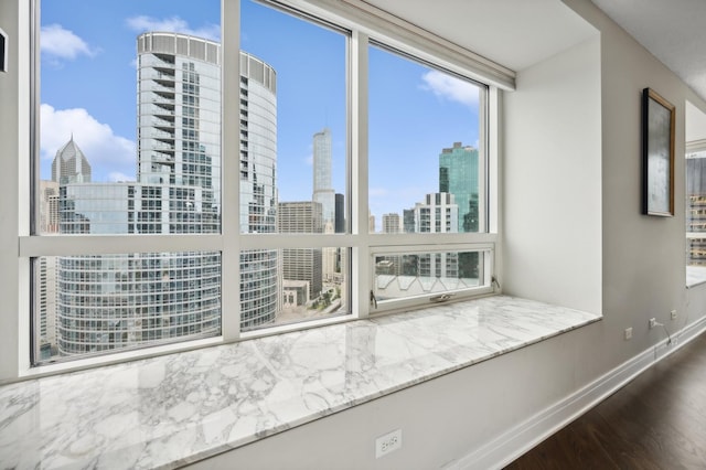 room details featuring hardwood / wood-style floors