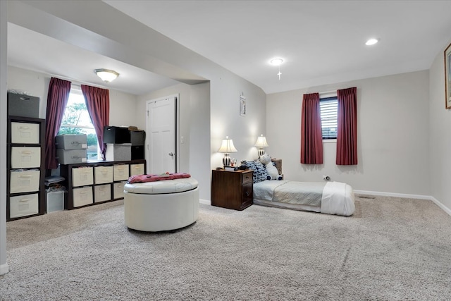 bedroom with carpet floors