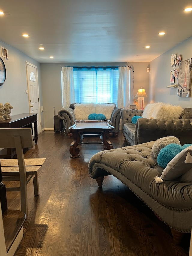 living room with dark wood-type flooring