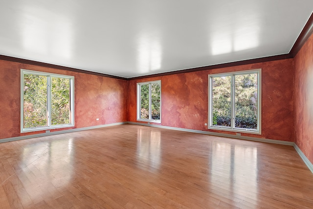 empty room with a wealth of natural light and light wood-type flooring