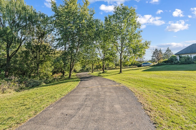 view of community with a yard