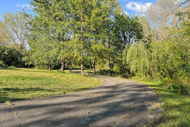 view of road