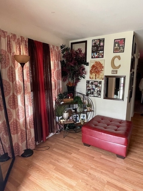 sitting room with light hardwood / wood-style floors