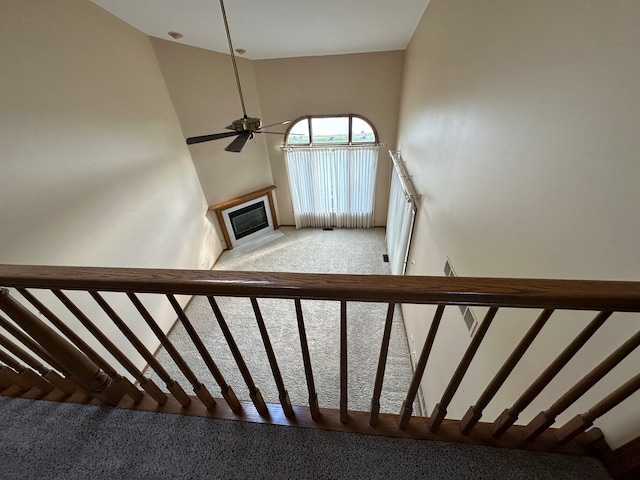 stairway featuring ceiling fan and carpet flooring