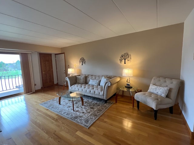 living room with wood-type flooring