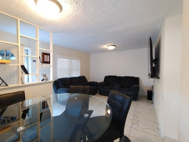 living room featuring a textured ceiling