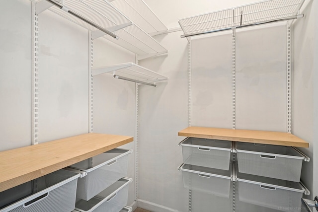 view of spacious closet