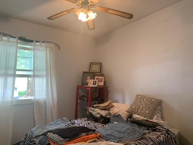 1901 Chestnut St, Ottawa, IL 61350 - bedroom featuring a ceiling fan