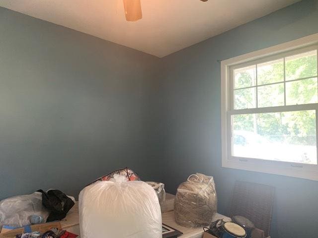 1901 Chestnut St, Ottawa, IL 61350 - misc room with healthy amount of natural light and ceiling fan