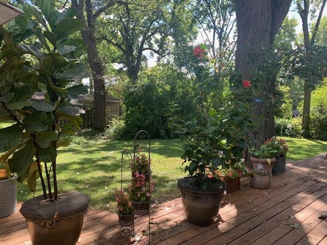 1901 Chestnut St, Ottawa, IL 61350 - deck featuring a yard