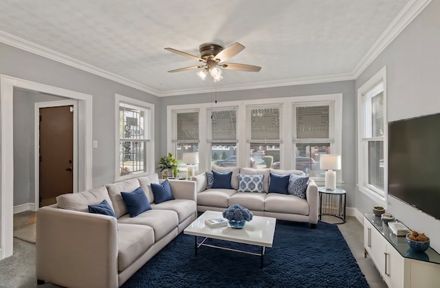 carpeted living room with ceiling fan and crown molding