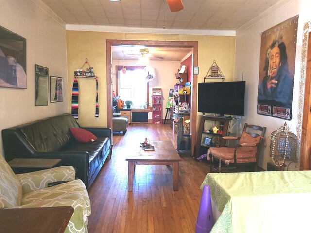 living room featuring ceiling fan, crown molding, and hardwood / wood-style floors