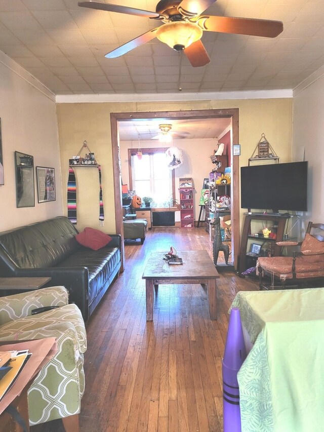 living room with ceiling fan, crown molding, and dark wood-type flooring