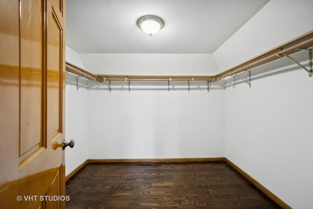 spacious closet featuring dark wood-type flooring