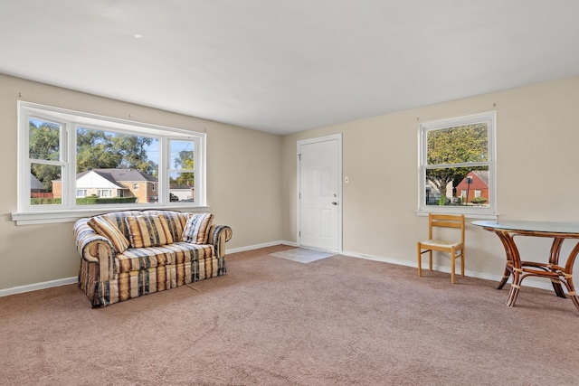 living area with light colored carpet and a wealth of natural light