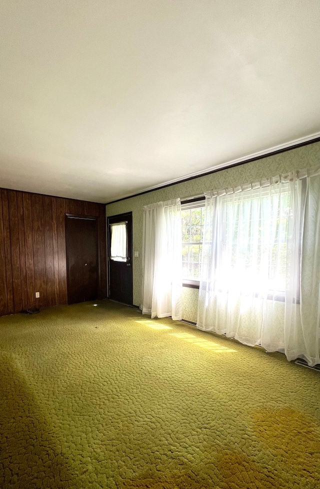 carpeted spare room with wooden walls