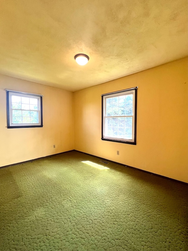 spare room with carpet floors and a textured ceiling