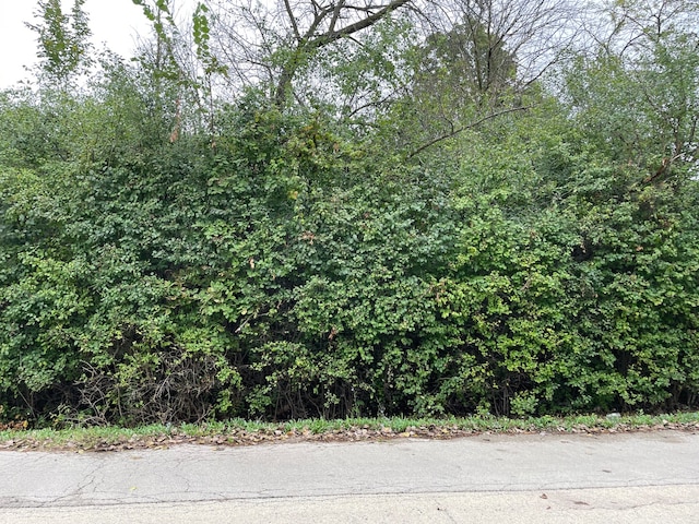 000 Redbud Dr, Joliet IL, 60433 land for sale