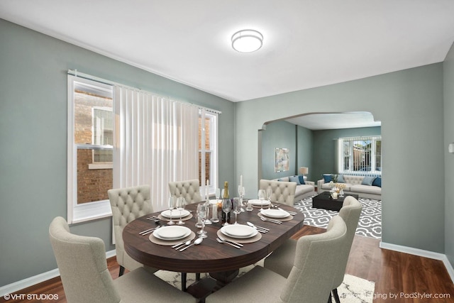 dining room featuring dark wood-type flooring