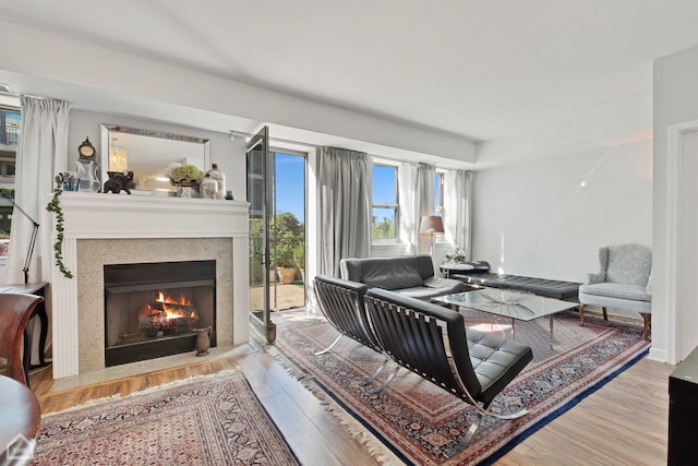 living room featuring light hardwood / wood-style floors and a fireplace