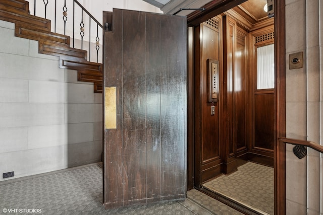 interior space featuring wood walls and carpet