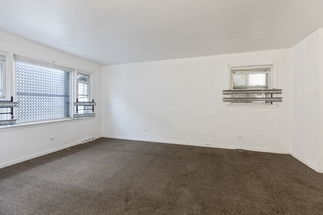 spare room with carpet and a wealth of natural light