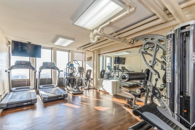 exercise room with hardwood / wood-style flooring