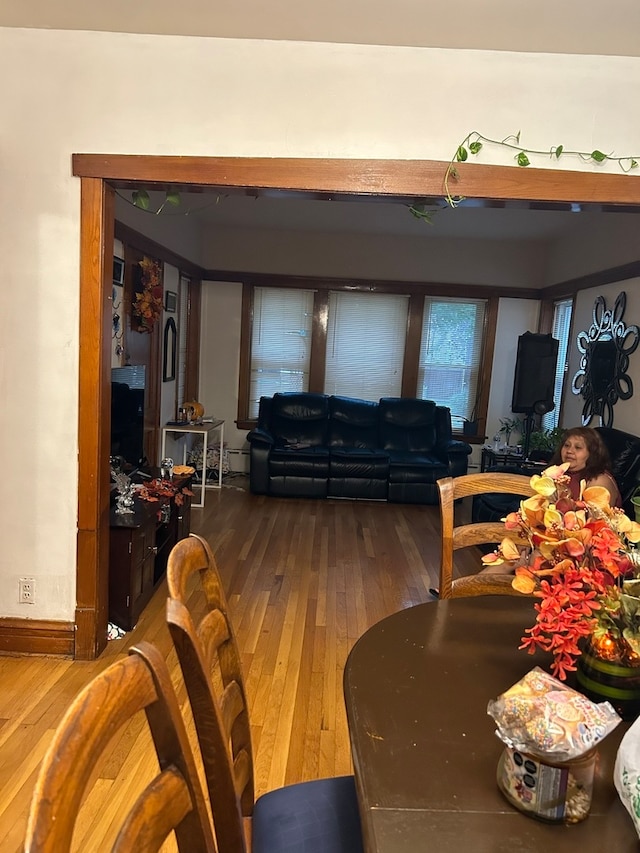 living room with hardwood / wood-style flooring