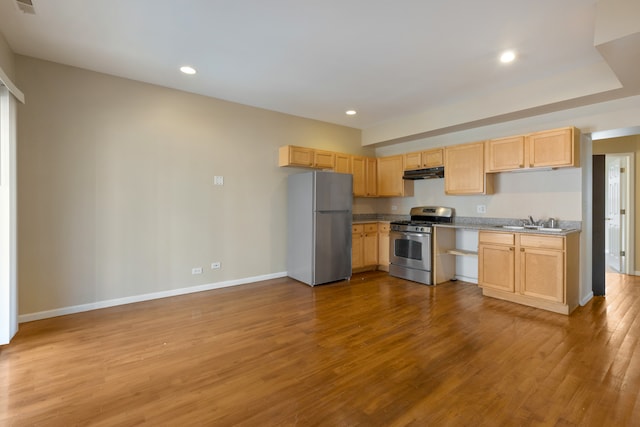 kitchen with light brown cabinetry, stainless steel appliances, light wood-type flooring, and sink