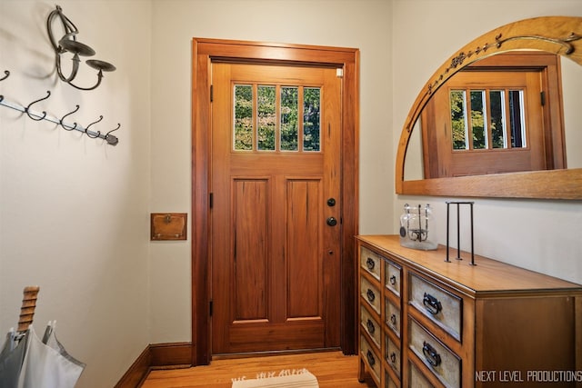 foyer with a healthy amount of sunlight and light hardwood / wood-style flooring