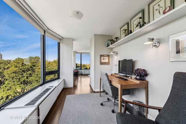 office with dark hardwood / wood-style flooring